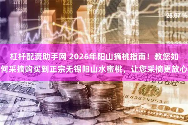 杠杆配资助手网 2026年阳山摘桃指南！教您如何采摘购买到正宗无锡阳山水蜜桃，让您采摘更放心